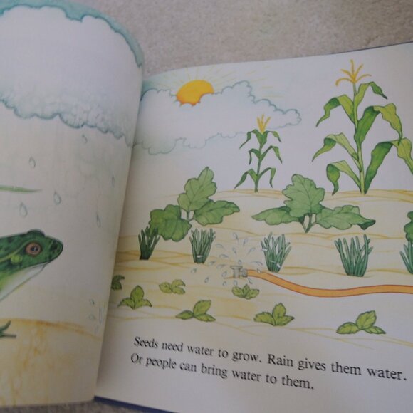 All About Seeds by Susan Kuchalla (Author) + Jane McBee (Illustrator) 1.1.96 - Picture 3 of 6